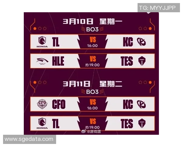 聚焦英雄联盟战队WE的默契配合与战术分析探讨